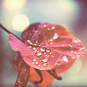 释放企业潜力的DDOS测试